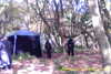 20141011-MOVI0006-frame0005.jpg