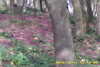 20141011-MOVI0006-frame0007.jpg