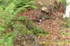 20141011-MOVI0007-frame0003.jpg