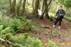 20141011-MOVI0008-frame0003.jpg
