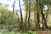20141011-MOVI0008-frame0004.jpg