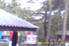 20141011-MOVI0011-frame0001.jpg