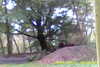 20141011-MOVI0014-frame0009.jpg