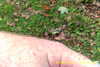 20141011-MOVI0014-frame0013.jpg