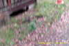 20141011-MOVI0014-frame0020.jpg