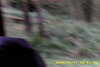 20141011-MOVI0015-frame0002.jpg
