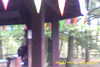 20141011-MOVI0015-frame0007.jpg