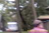20141011-MOVI0015-frame0008.jpg