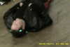20141011-MOVI0027-frame0003.jpg