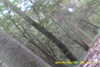 20141025-MOVI0000-frame0002.jpg