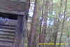 20141025-MOVI0000-frame0003.jpg