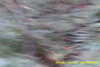 20141025-MOVI0001-frame0002.jpg