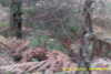 20141025-MOVI0002-frame0001.jpg