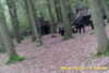 20141025-MOVI0002-frame0004.jpg