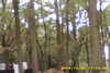 20141025-MOVI0002-frame0005.jpg