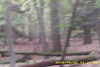 20141025-MOVI0005-frame0001.jpg