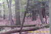20141025-MOVI0005-frame0003.jpg