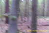 20141025-MOVI0005-frame0004.jpg