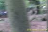 20141025-MOVI0005-frame0005.jpg
