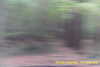 20141025-MOVI0006-frame0001.jpg