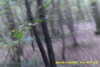 20141025-MOVI0006-frame0005.jpg