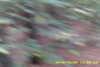 20141025-MOVI0006-frame0006.jpg