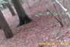 20141025-MOVI0006-frame0007.jpg