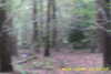 20141025-MOVI0006-frame0008.jpg