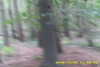 20141025-MOVI0006-frame0010.jpg