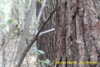20141025-MOVI0006-frame0011.jpg