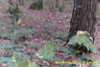 20141025-MOVI0006-frame0012.jpg
