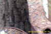 20141025-MOVI0007-frame0002.jpg