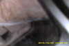 20141025-MOVI0007-frame0004.jpg