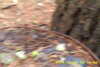 20141025-MOVI0007-frame0006.jpg