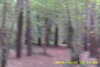 20141025-MOVI0007-frame0007.jpg