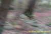 20141025-MOVI0008-frame0001.jpg