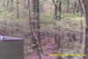 20141025-MOVI0009-frame0005.jpg