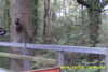 20141025-MOVI0009-frame0006.jpg