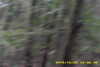 20141025-MOVI0009-frame0007.jpg