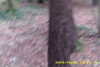 20141025-MOVI0010-frame0001.jpg