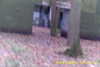 20141025-MOVI0010-frame0002.jpg