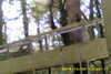 20141025-MOVI0010-frame0005.jpg