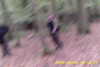 20141025-MOVI0011-frame0003.jpg