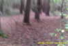 20141025-MOVI0012-frame0001.jpg