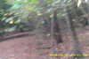 20141025-MOVI0012-frame0003.jpg
