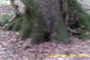 20141025-MOVI0012-frame0006.jpg