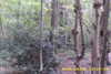 20141025-MOVI0012-frame0009.jpg