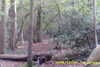 20141025-MOVI0012-frame0011.jpg