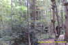 20141025-MOVI0012-frame0012.jpg