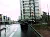 20150329-PICT0381-frame0002.jpg